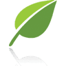 Green-Team-Thy