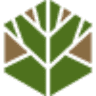 GREEN TREE Karol Kluczkowski