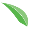 Green Dental Medicine