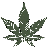 Green Leef Recreational Dispensary