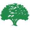Greenoak International School