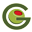 Green Olive Pizza