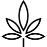 Green River Cannabis Company