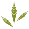 green valley