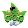Green View Clinic Pvt Ltd