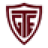 Grêmio Turvense