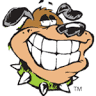 Groggy Dog-San Antonio