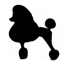 Groomeraj - salon za pse