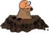 The Ground Hog Club of Chicago