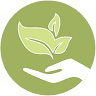 Grove Family Health