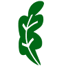 Grupo IPARBAIW