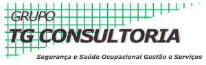 GRUPO TG CONSULTORIA