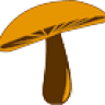 Guan's Mushrooms