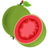 Guava Tropical