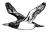 GUILLEMOT TRUST
