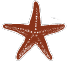 Gulf Coast Endodontic Associates