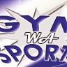 Gymsports Wa and Perth Machinery Logsplitters