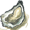 Half Shell Oyster House