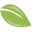 Taxleaf Hallandale
