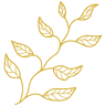 Harissa Mediterranean Cuisine
