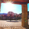 Casa rural - El Hayedo del León Dormido - Navarra