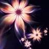 Kimberly Owens Massage Therapy