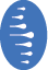 Health Hub Chiropractic