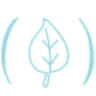 HealthSpace collective