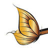 Healthy Futures Organic Feed Supply