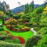 Garden Center Kraimorie