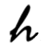 Heinsight Leather
