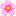 Helen Sheard Floral Designs
