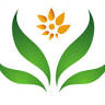 Herbal Jamu