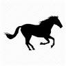 Hickman Saddlery