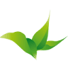 HIDROSYPLANT