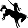 High Country Stampede Rodeo
