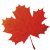 Himalayan Maple Adventures