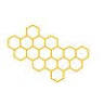 Hive Hot Yoga