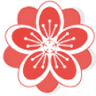 Shop hoa tươi HOA CỦA TUI