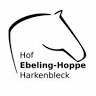 Pferdepension - Hof Ebeling-Hoppe