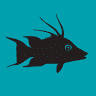 Hog Island Fish Camp Seafood Restaurant & Bar