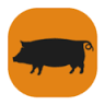 Hogtown Smokehouse