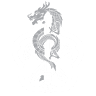 Hokushin Shinoh Ryu Iaido