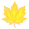 Holistic Spiritual Counseling with Laura Rain
