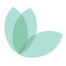 hōlus, LLC