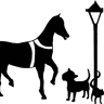 HomeCare Veterinary Clinic