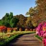 Home N Garden Plus LLC c/o Carolyn Stewart