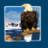 Homer Alaska Tours