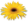 Honesdale Greenhouse & Flower Shop