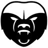 HONEY BADGER GYM